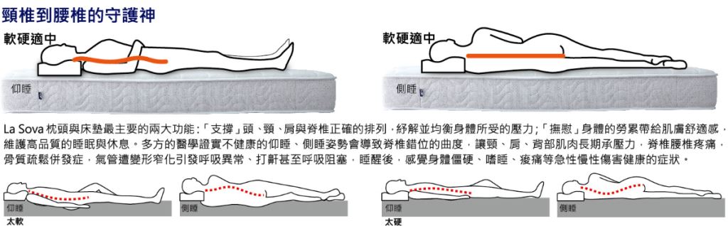 肌肉動力學測試